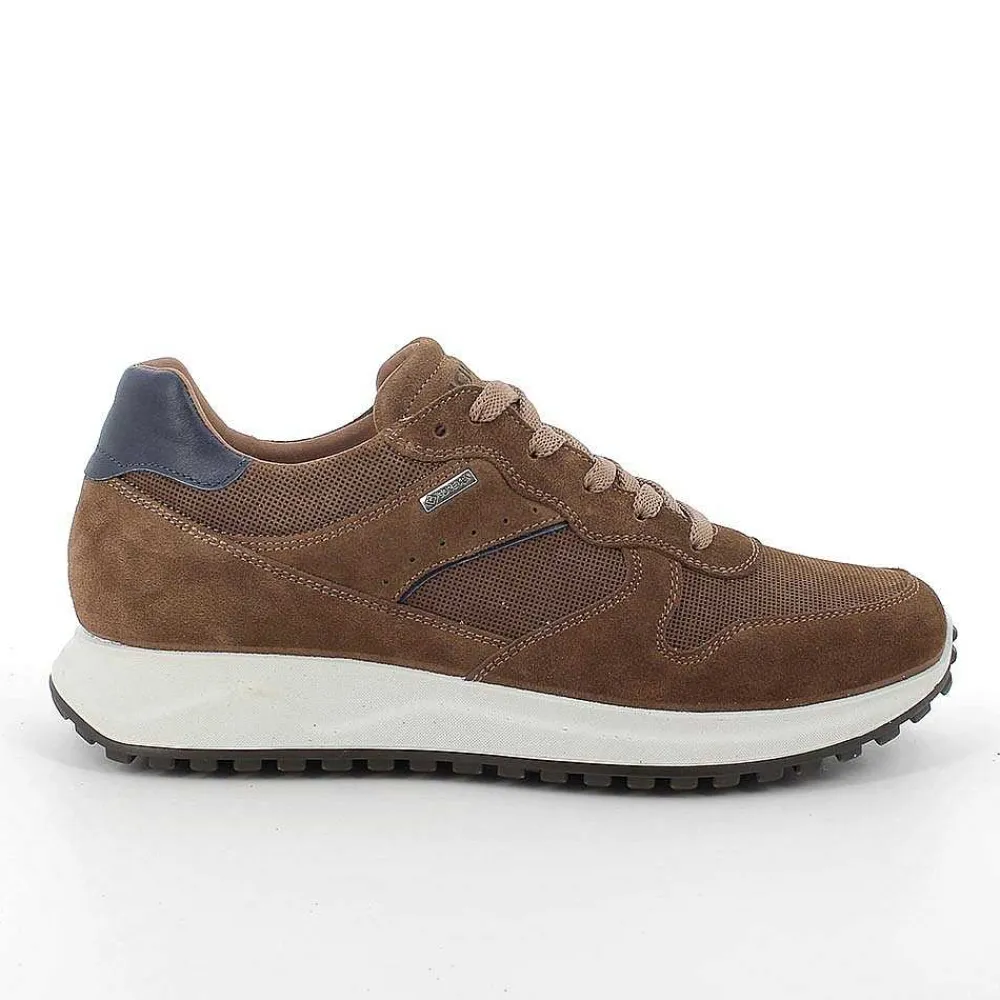 Sneakers|Igi&Co Sneakers Gore-Tex In Pelle Da Uomo Tabacco