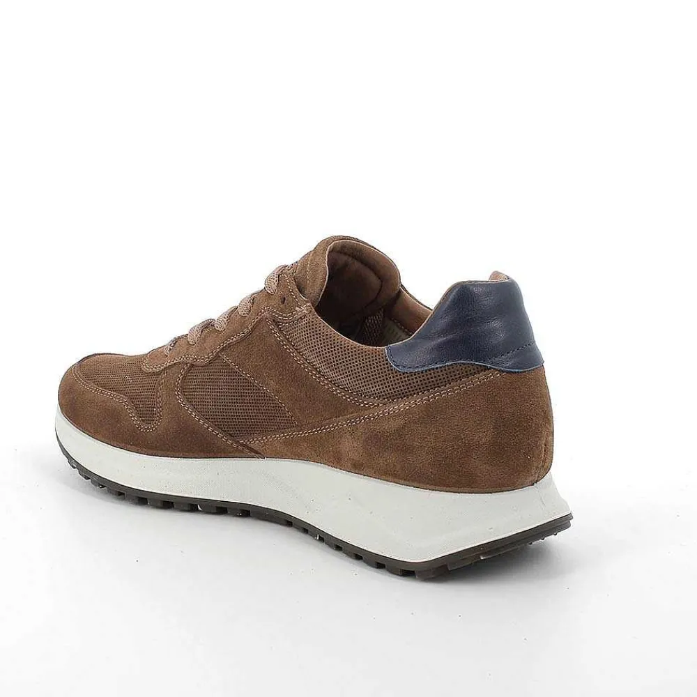 Sneakers|Igi&Co Sneakers Gore-Tex In Pelle Da Uomo Tabacco